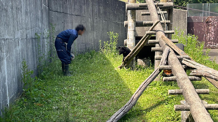 秋田の「くまくま園」