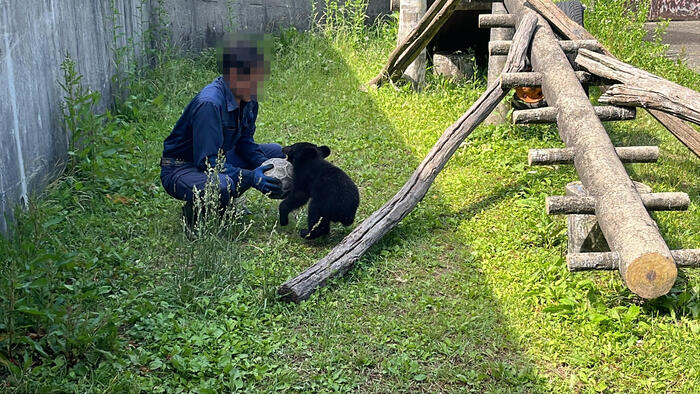 秋田の「くまくま園」