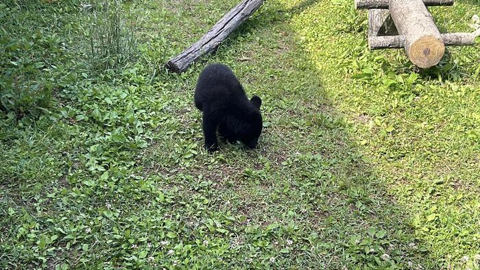 秋田の「くまくま園」