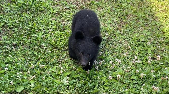 秋田の「くまくま園」