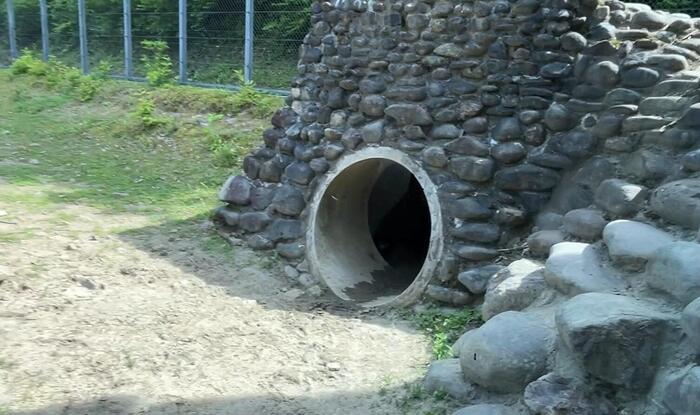 秋田の「くまくま園」ひぐま舎