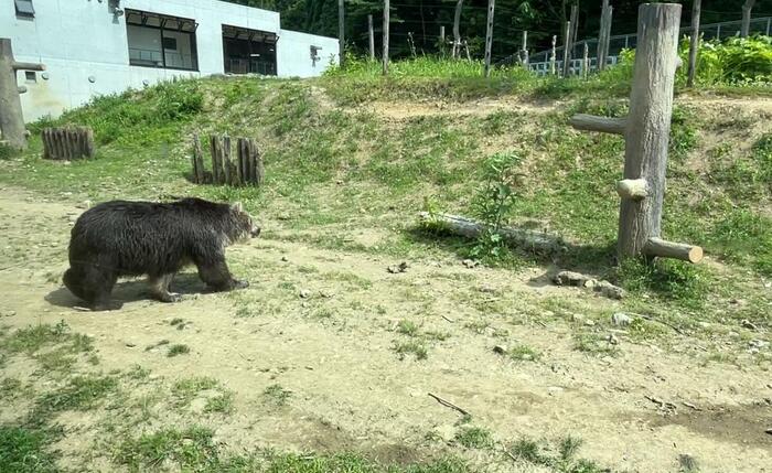 秋田の「くまくま園」ひぐま舎