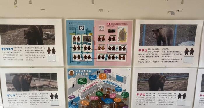 秋田の「くまくま園」ひぐま舎