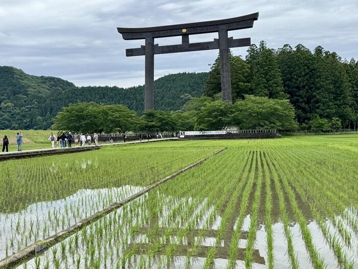 道普請　世界遺産　熊野古道　中辺路　大日越え　熊野本宮大社　大斎原　湯の峰温泉　湯の峯荘