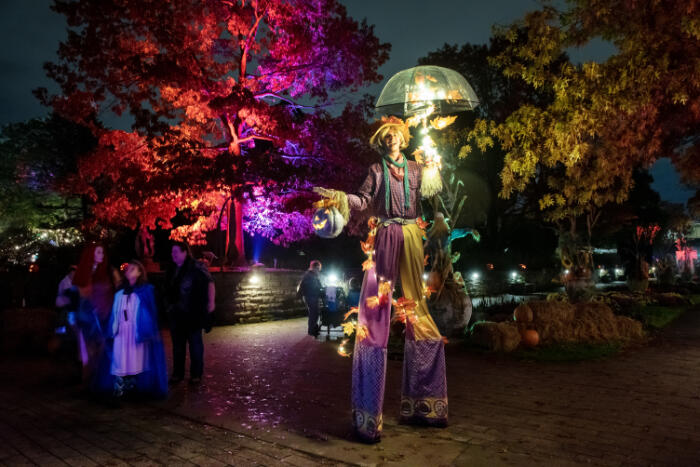 公園の夜のパフォーマンスをする人と観客