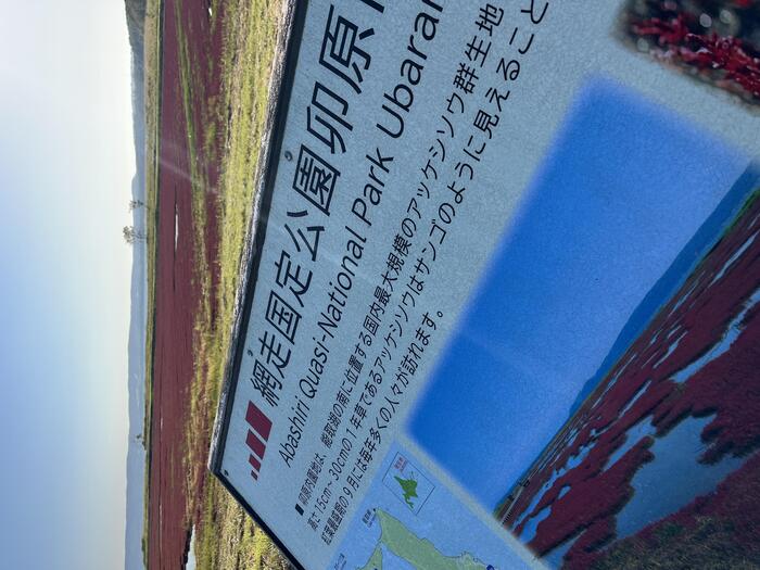 網走国定公園・能取湖サンゴ草群生地の案内看板