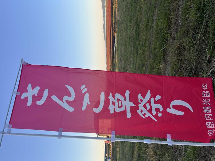 能取湖サンゴ草祭りの赤いのぼり旗
