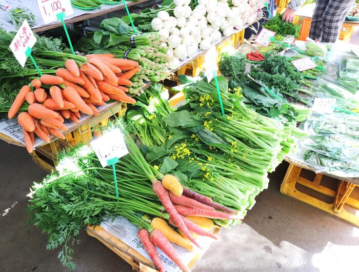 逗子生産直売所に並ぶ旬の野菜
