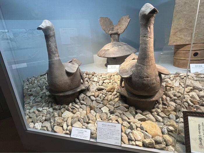館内展示の重要文化財の水鳥形埴輪