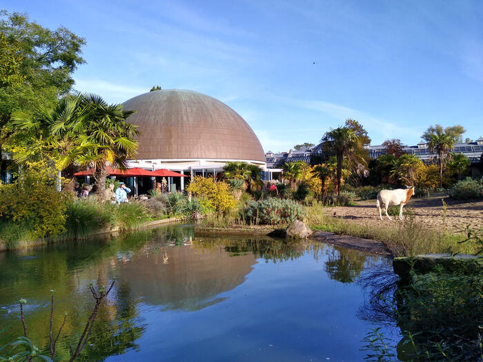 RTIS動物園の豊かな緑に囲まれた歴史あるプラネタリウム建物の外観