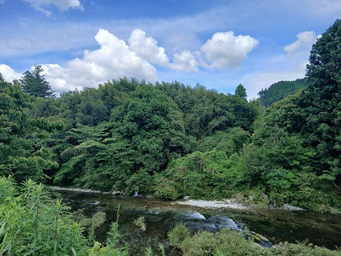 美しい川がある土佐町の谷間