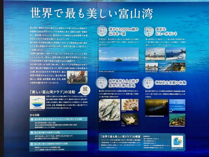 寿司と言えば、富山　富山県　富山湾鮨　寒ブリ　白エビ　紅ズワイガニ　ホタルイカ　ます寿司