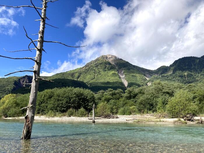 j透き通った大正池の水面から立つ立ち枯れの木々と幻想的な風景