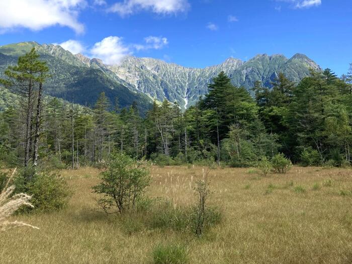 明るく開けた田代湿原と背後にそびえ立つ壮大な穂高連峰