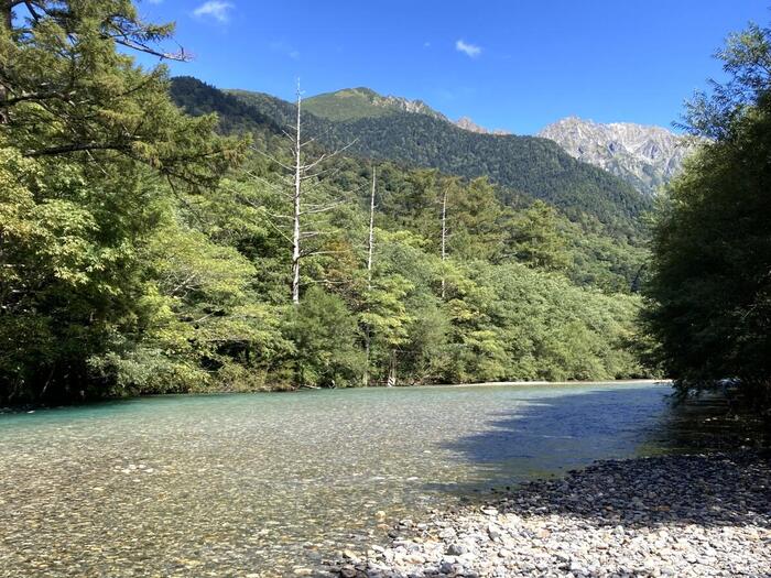 浅瀬の河原から眺める透明度の高い梓川の流れ
