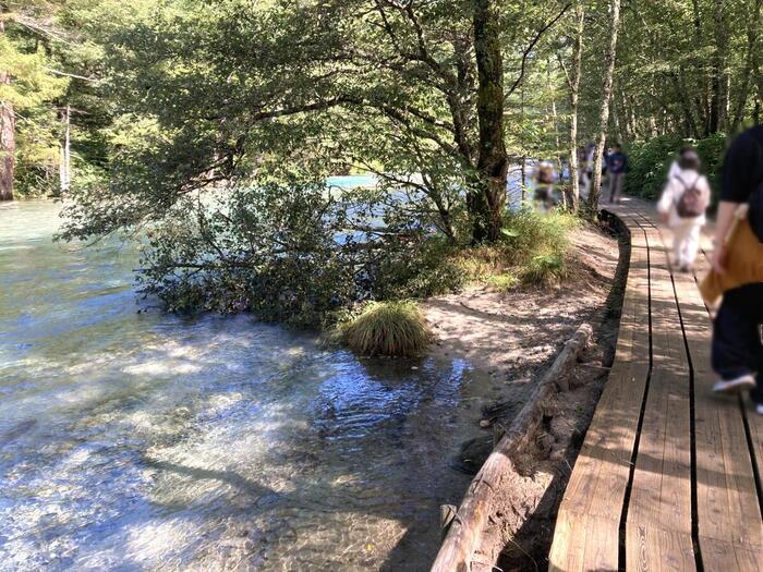 梓川の清流に沿って続く木道のハイキングコース