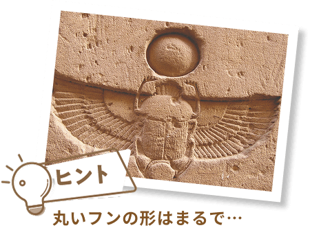 ヒント 丸いフンの形はまるで...