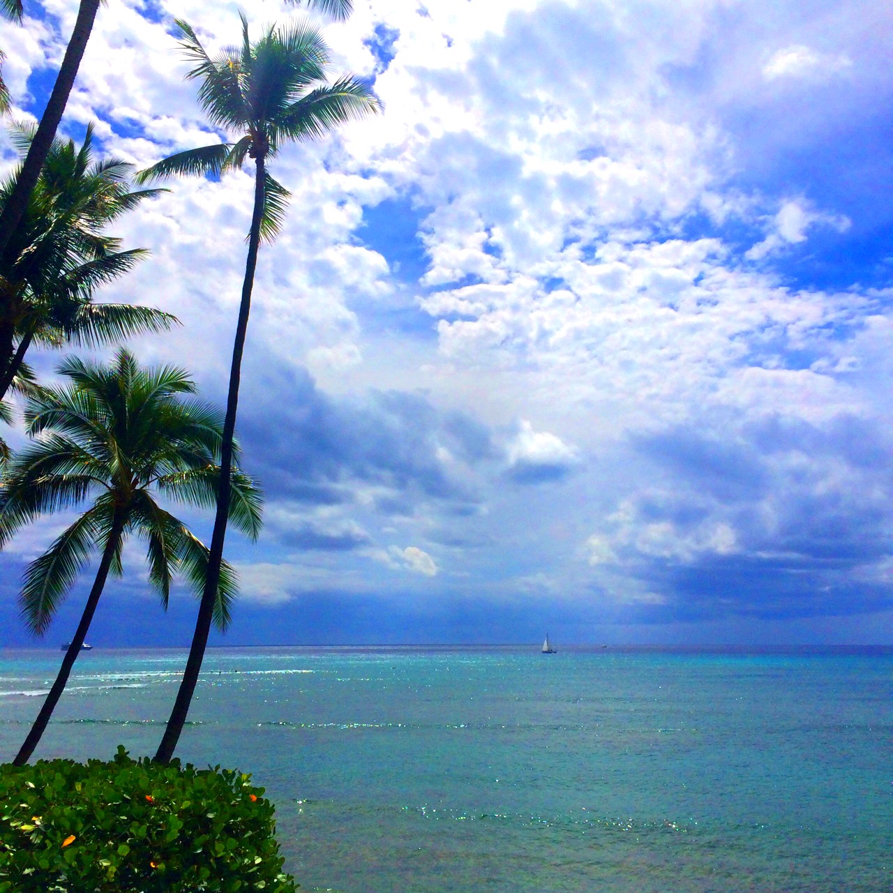 エレガントなリゾートハワイスタイルを楽しめる マリーナ ハワイ の魅力 たびこふれ