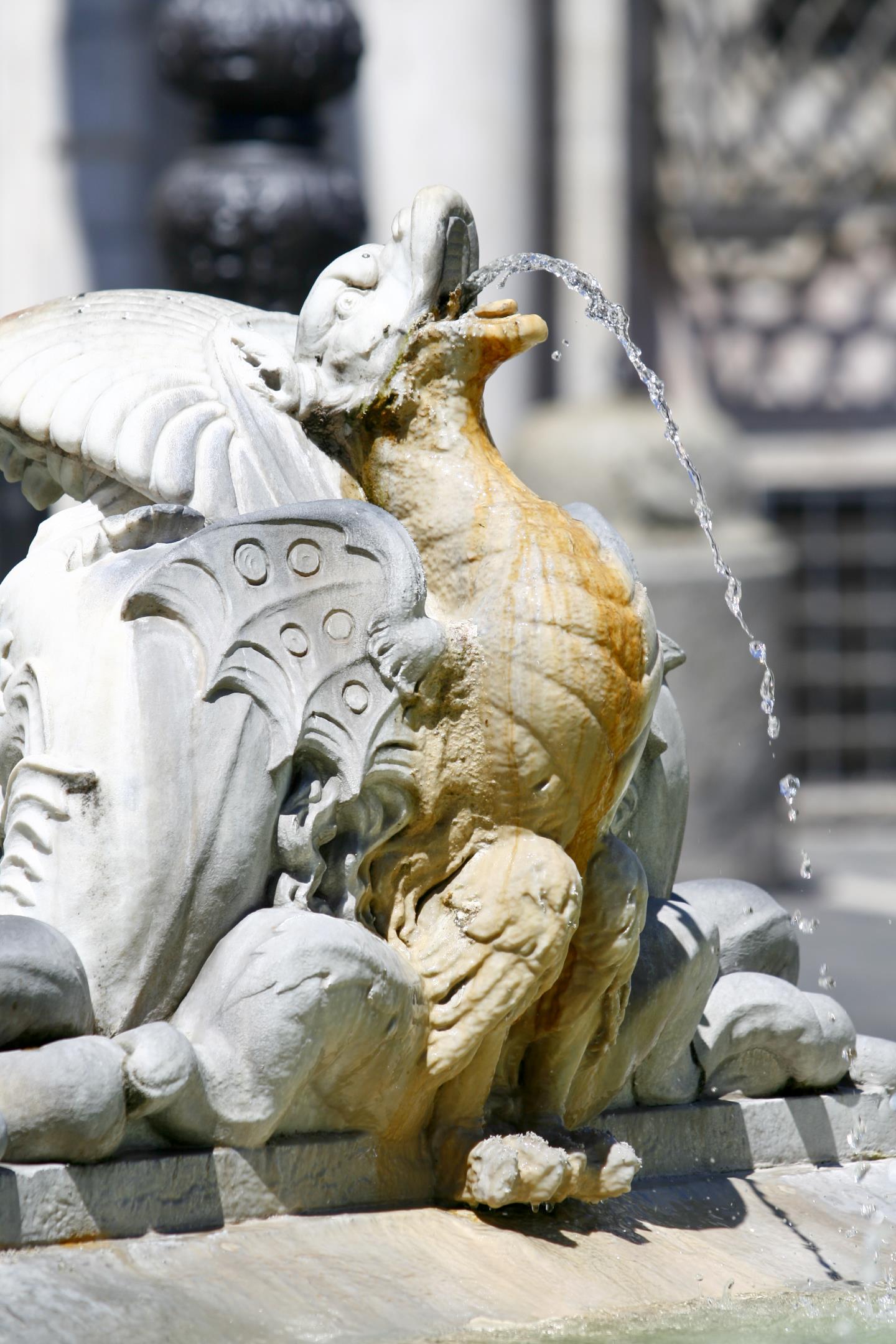 ナヴォーナ広場の四大河の噴水に象られた装飾