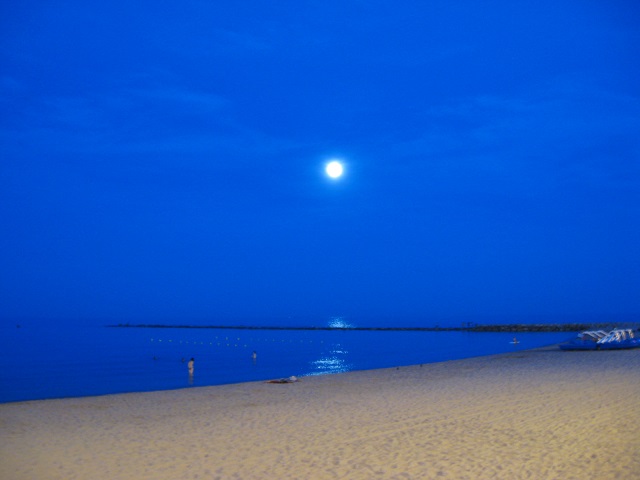 月夜のビーチ