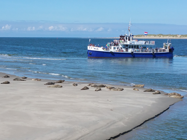 後編 遠浅の不思議な海 世界遺産ワッデン海とオランダの小さな島 アーメラント島へ週末旅行 たびこふれ