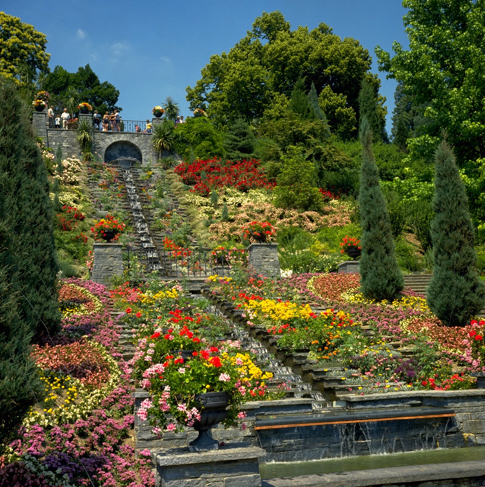 花と水の階段