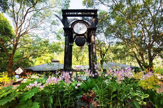 シンガポール植物園（初の世界遺産！）ボタニック・ガーデンをご紹介！！ | たびこふれ