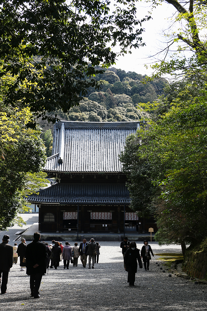 京都 泉涌寺は女性必見パワースポット 舎利殿の特別視察で 鳴き龍 も体験しました たびこふれ