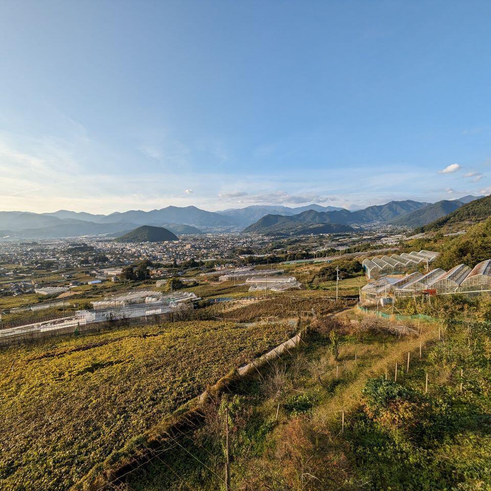 山梨必訪的兩大酒莊！必吃美食與必去景點大公開