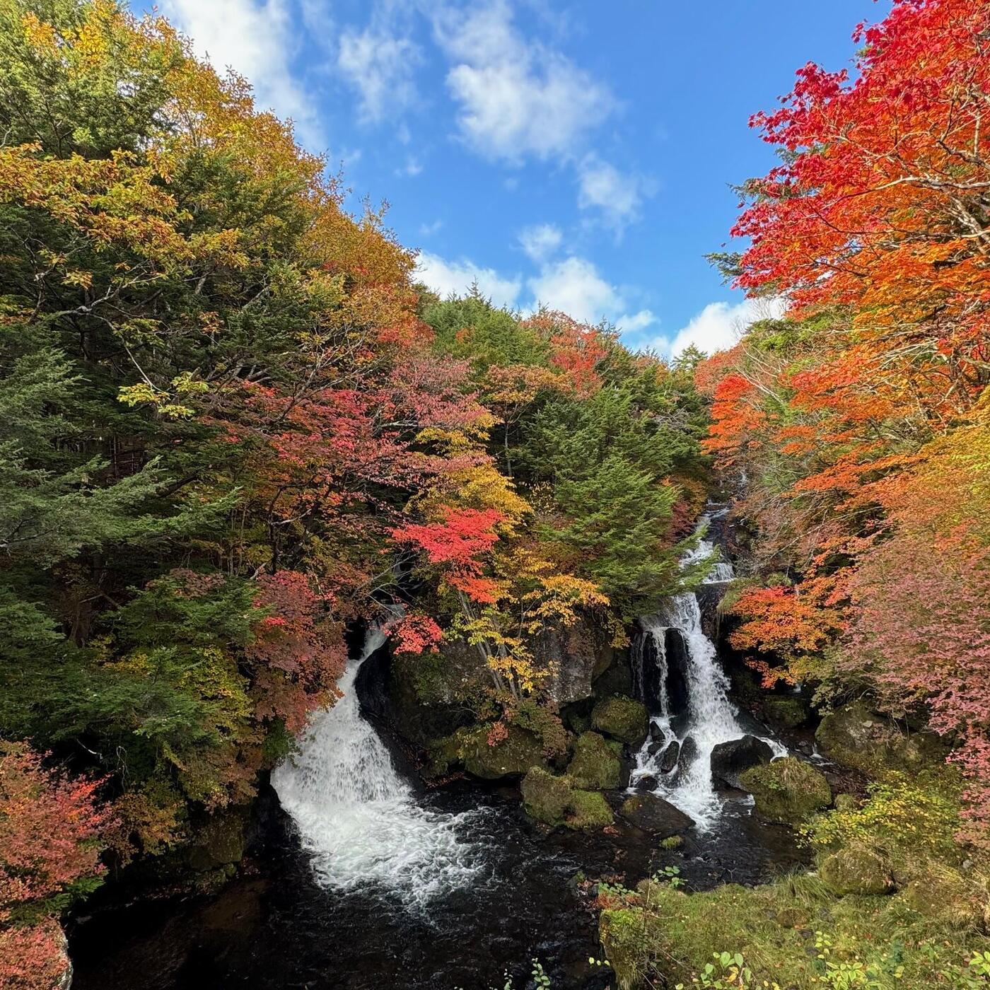 【栃木縣】日光・鬼怒川、嚴選人氣美食決定版！