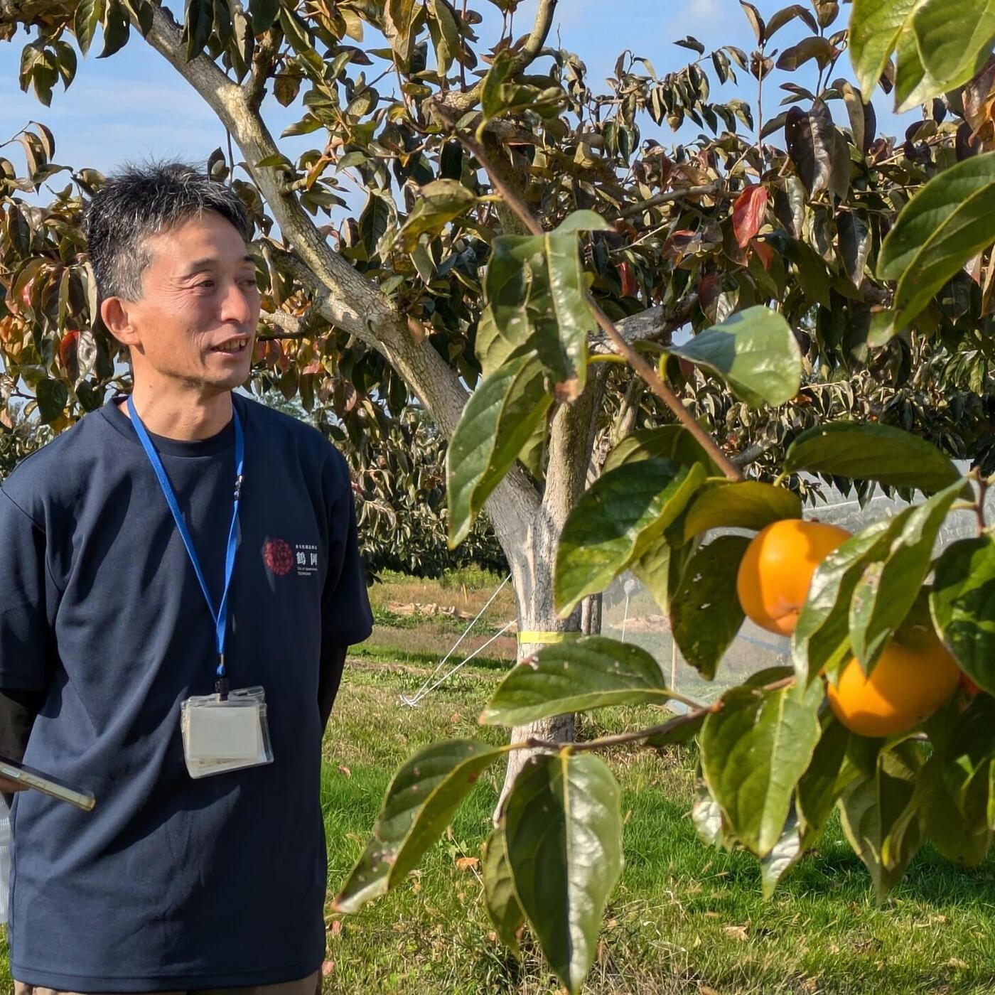 山形美食大集合！採庄內柿體驗及必吃鄉土料理