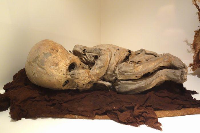 ミイラが眠る博物館　イポリト・ウナヌエ　ペルー