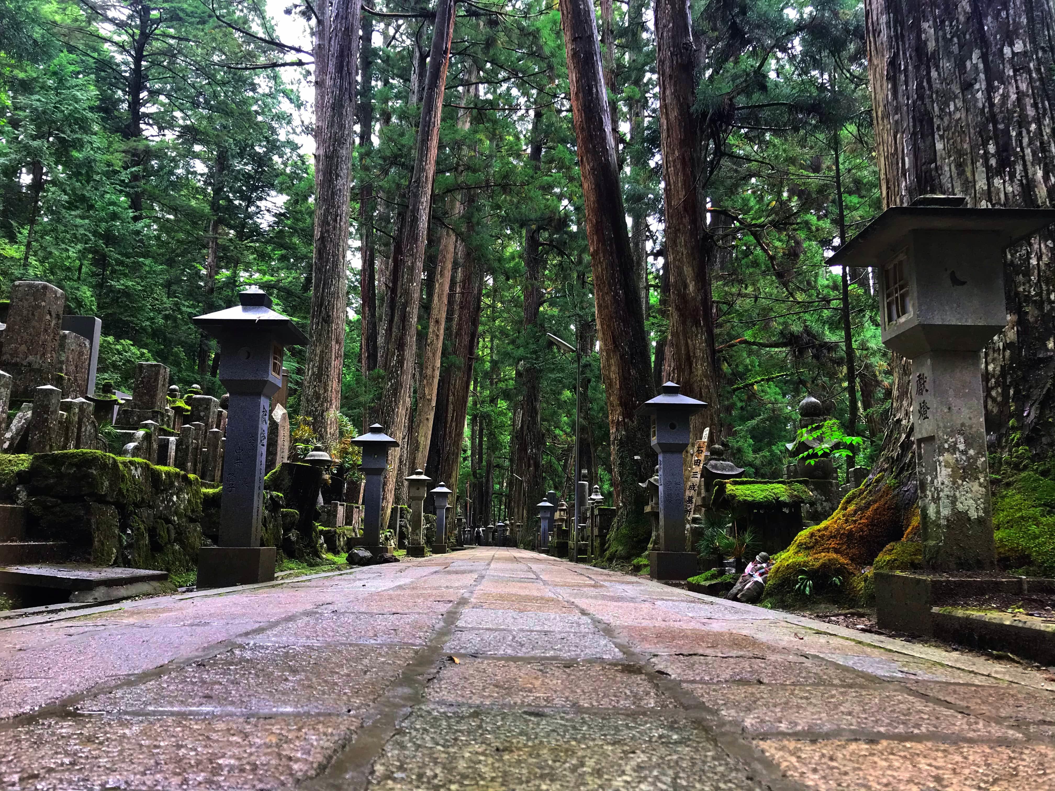 日本仏教の聖地 高野山 の日帰りおすすめ観光コース完全攻略ガイド たびこふれ