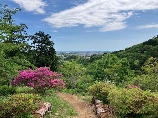虚空蔵尊さくら公園
