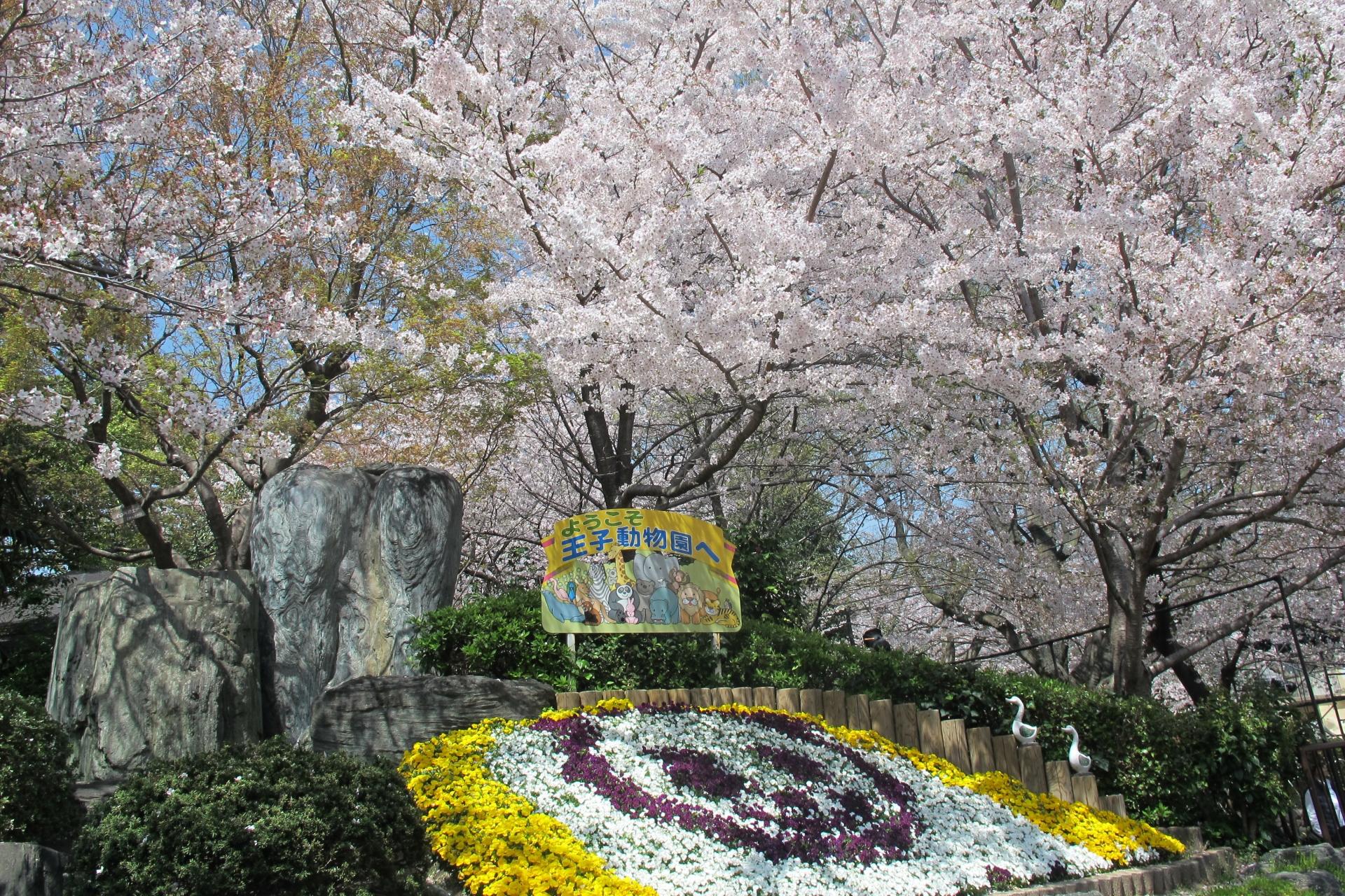 神戸に着いたらすぐに楽しめる 電車 バスで30分圏内のお花見スポット たびこふれ