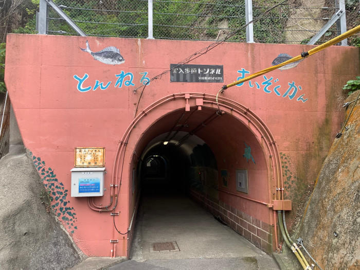 トンネル水族館