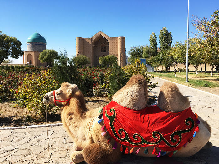 中央アジアってどんなとこ カザフスタンとキルギスを訪問しました シルクロード好きな方にもオススメです たびこふれ