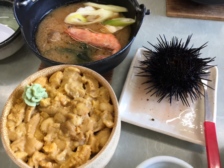 北海道 超濃厚 積丹 しゃこたん で食す生ウニ丼 たびこふれ