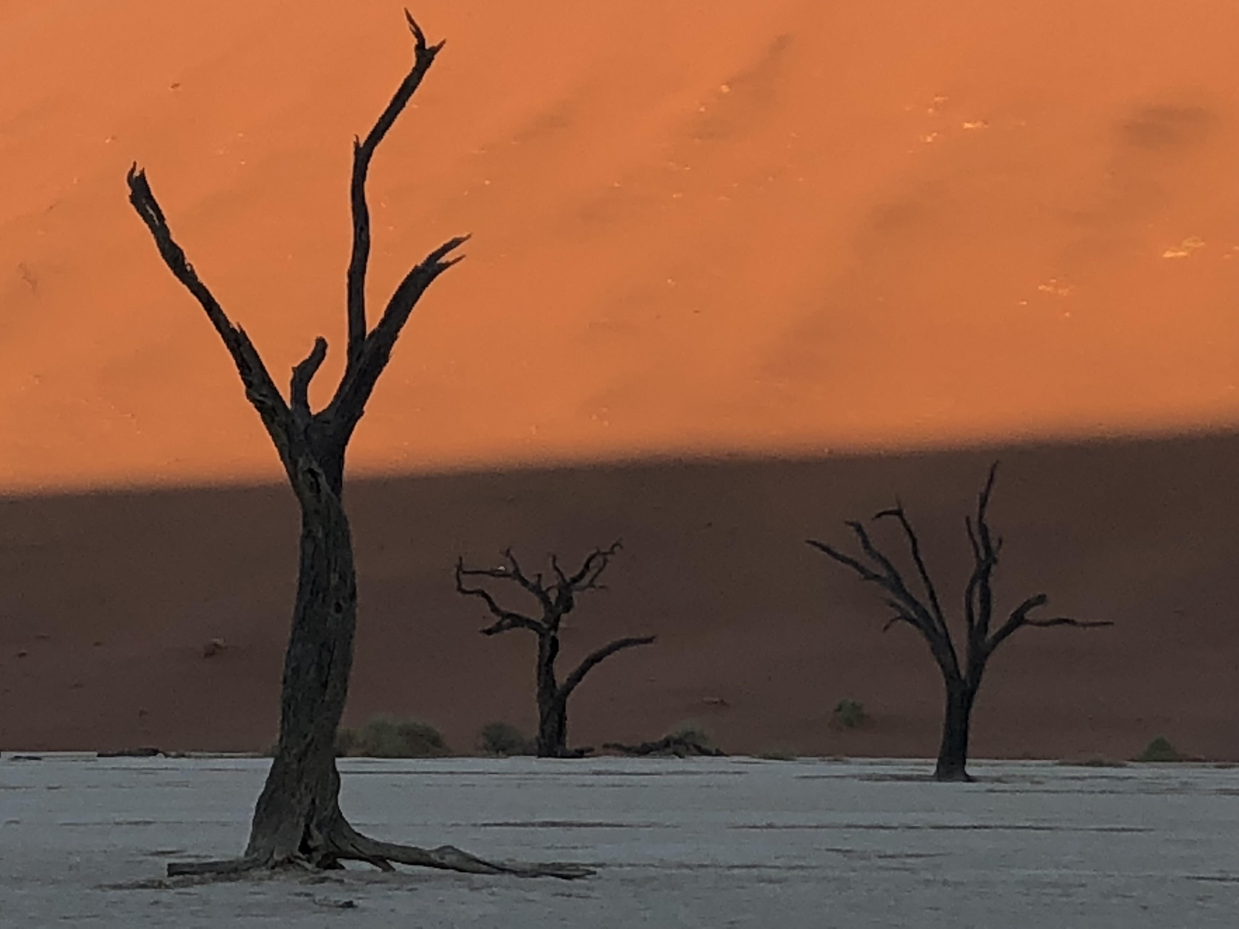 人気沸騰中 ナミビアでみられる絵画のような不思議な景色 朝日の奇跡 たびこふれ