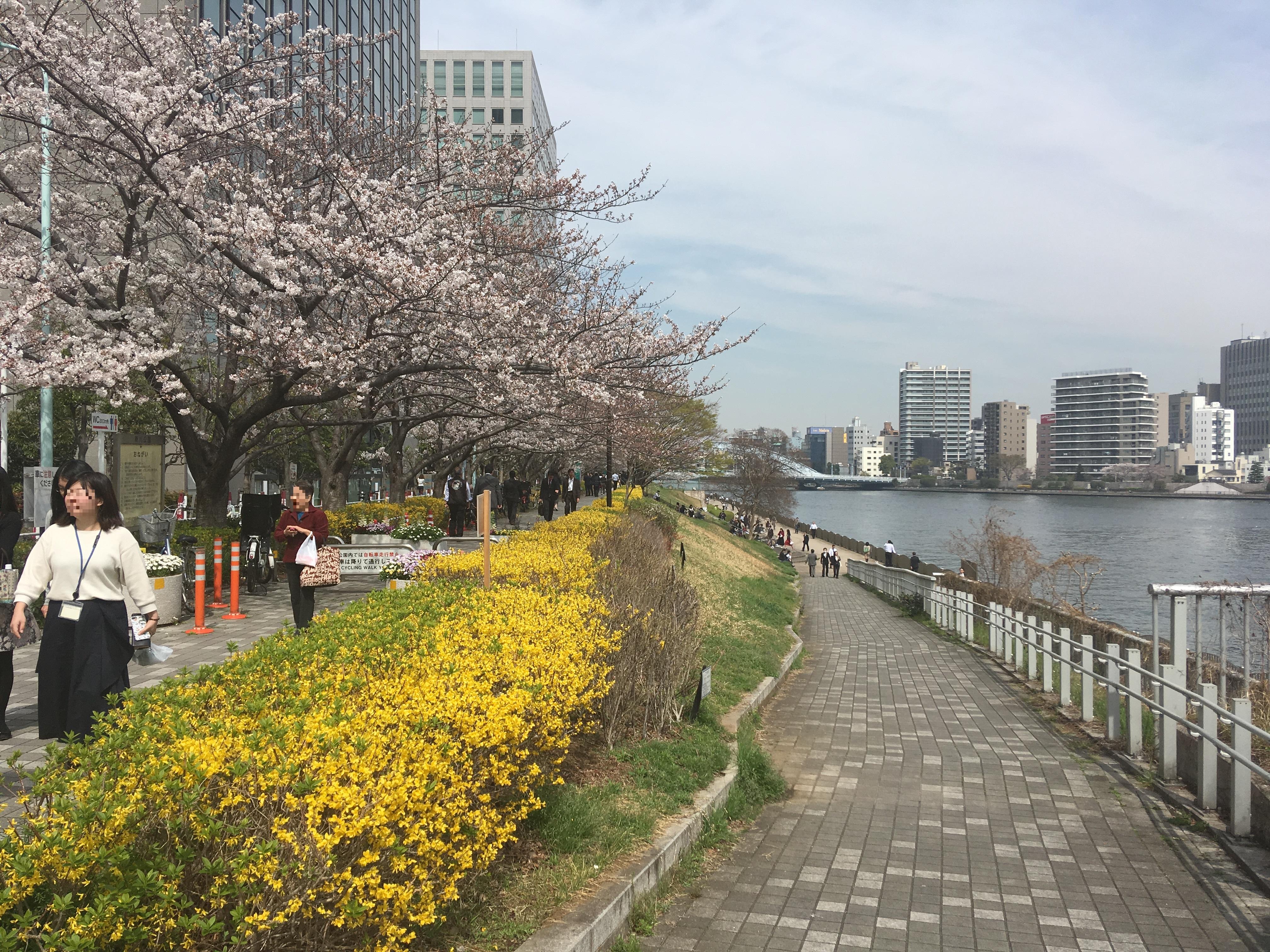 東京の路地裏を歩く 裏さんぽ 第三回 佃島 月島の巻 たびこふれ