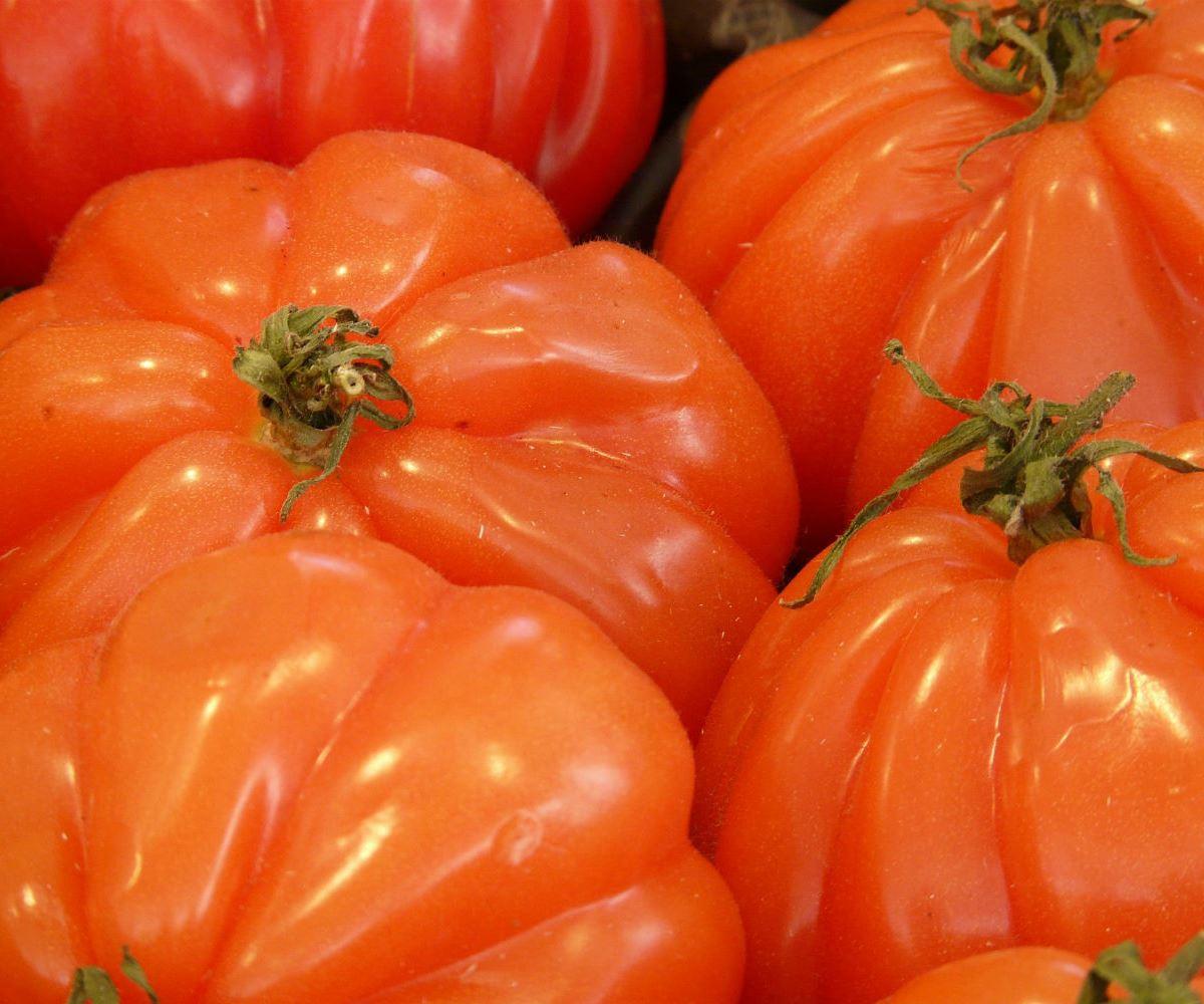 イタリアはトマトの種類がいっぱい フィレンツェ中央市場で買える絶品トマトたち たびこふれ