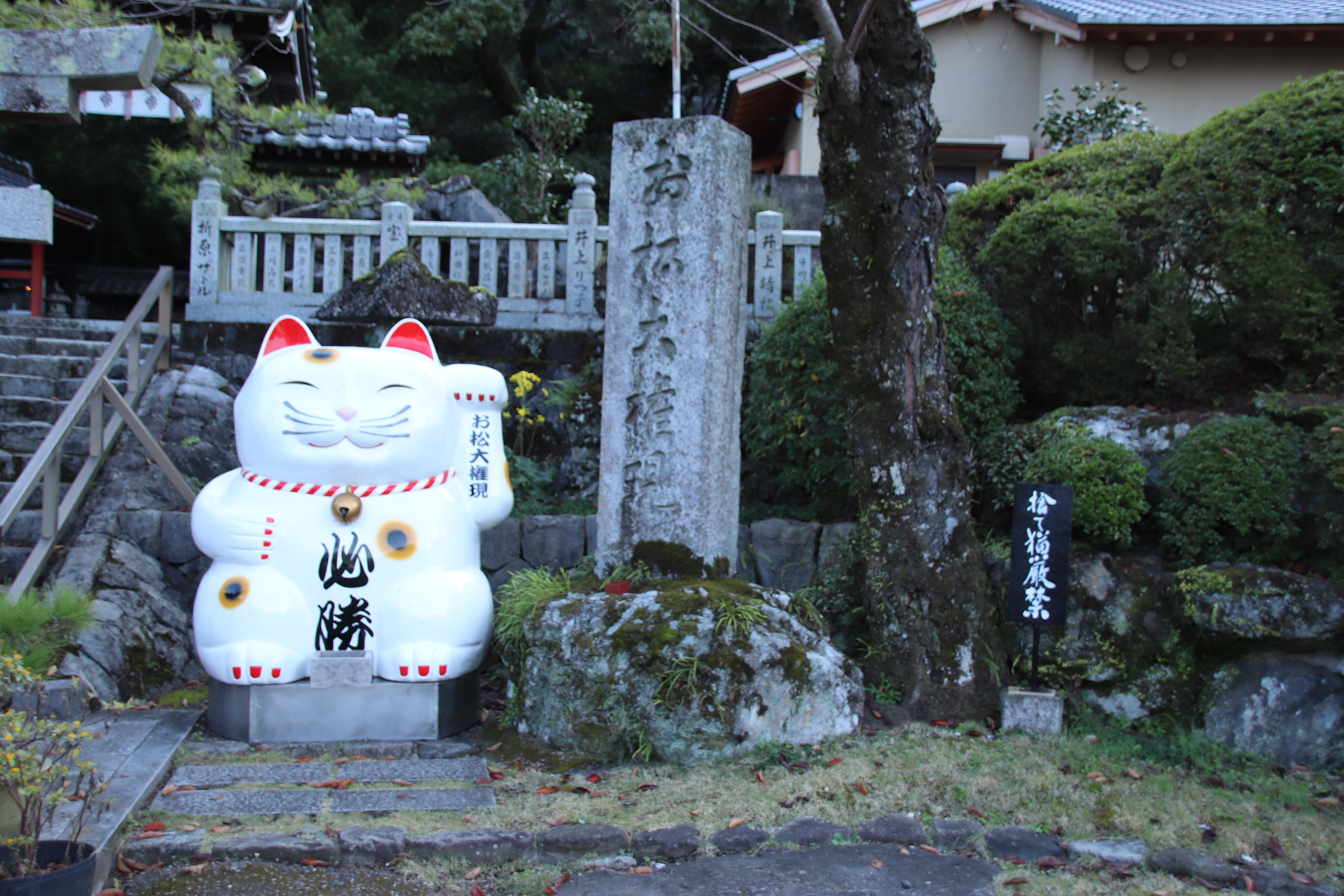 徳島】猫神様に合格祈願！？「お松大権現」は猫好き必訪のパワー 