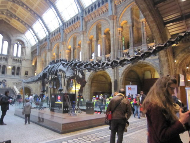 恐竜に会える場所 ロンドン自然史博物館 たびこふれ