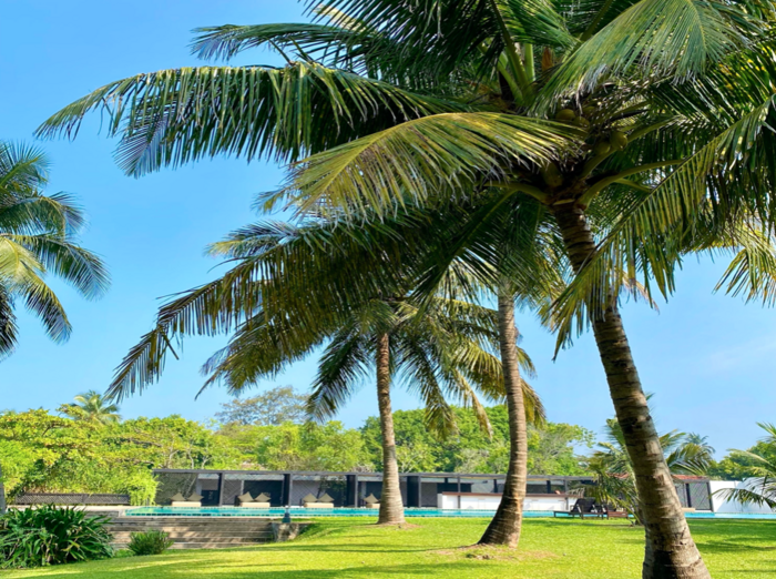 スリランカ　ネゴンボ