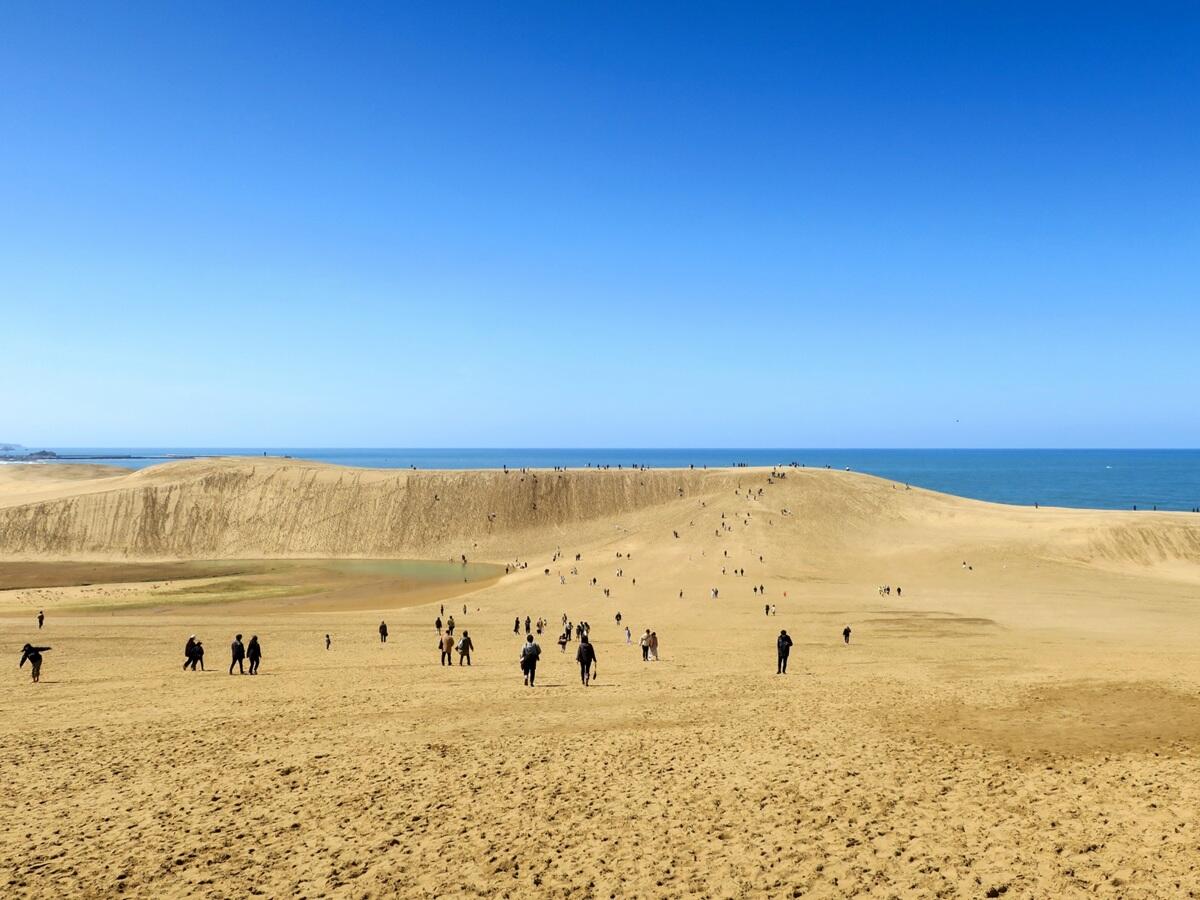 鳥取砂丘