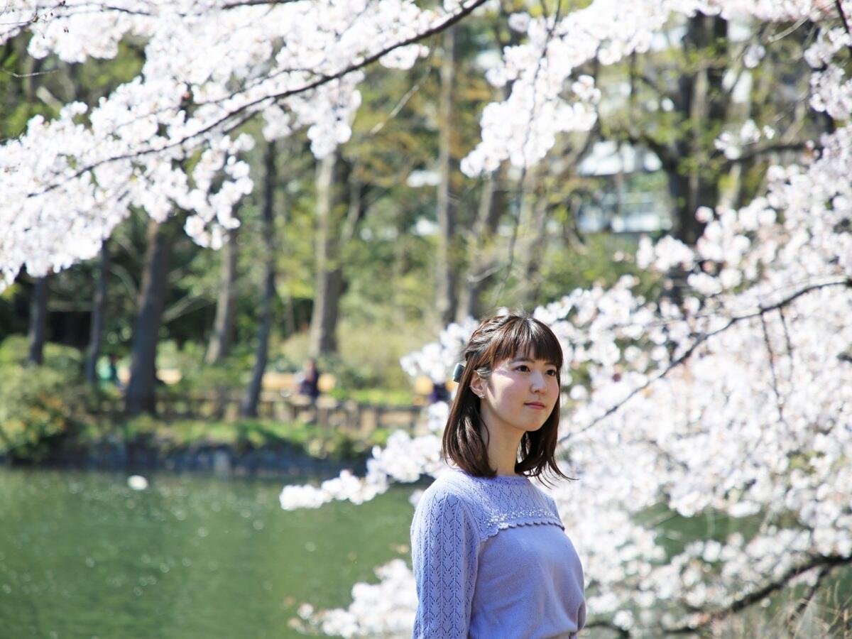 ブログイメージ