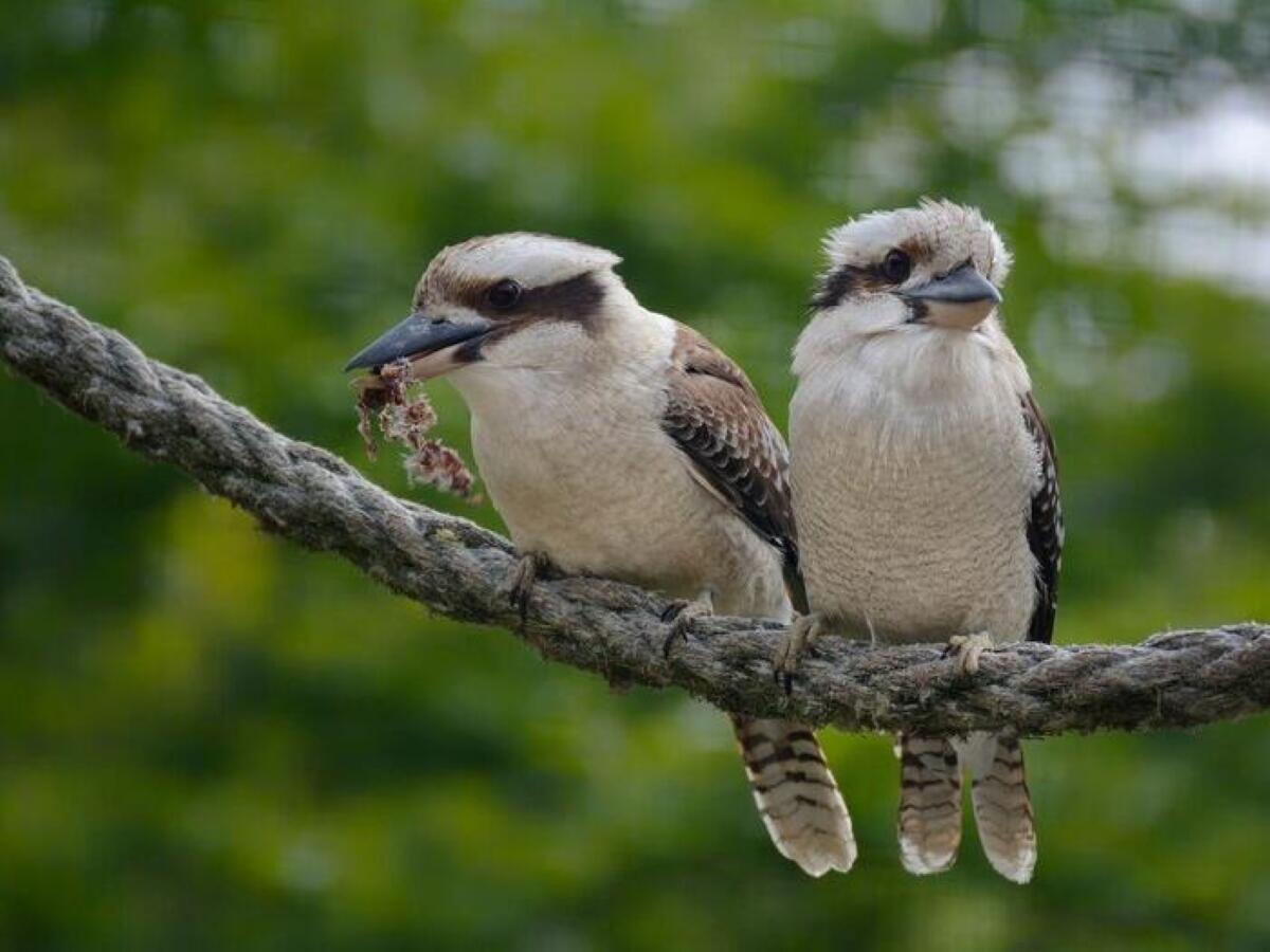 ブログイメージ