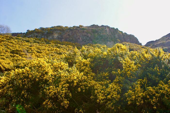 アーサーズシート