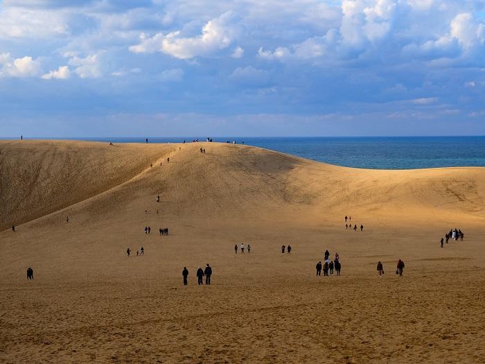 砂丘とは何なのか～鳥取砂丘以外にも日本に砂丘はある？～