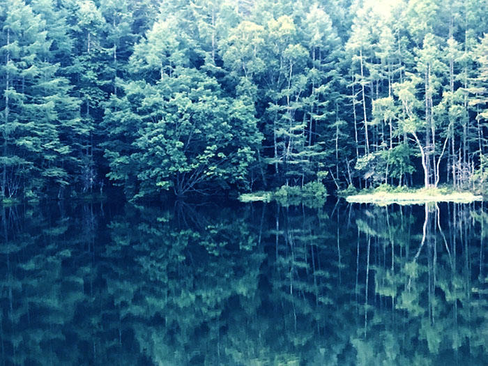 長野県 神秘的な青の風景を求めて 東山魁夷 緑響く のモチーフとなった御射鹿池 たびこふれ